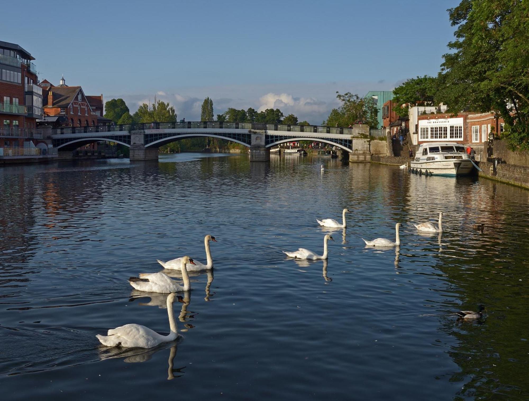 Top Floor En-Suite Double Bedrooms With Great View Of Windsor Castle & Free Parking 外观 照片